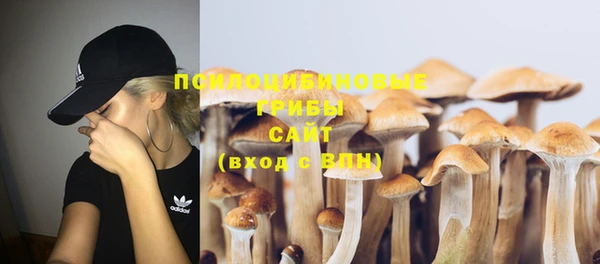 спайс Апатиты