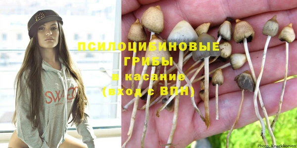 спайс Апатиты