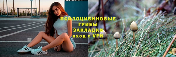 спайс Апатиты
