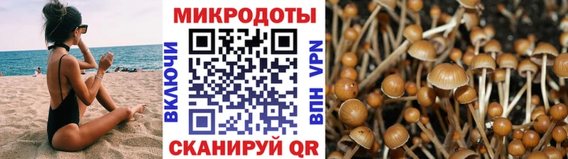 Псилоцибиновые грибы MAGIC MUSHROOMS  Искитим 