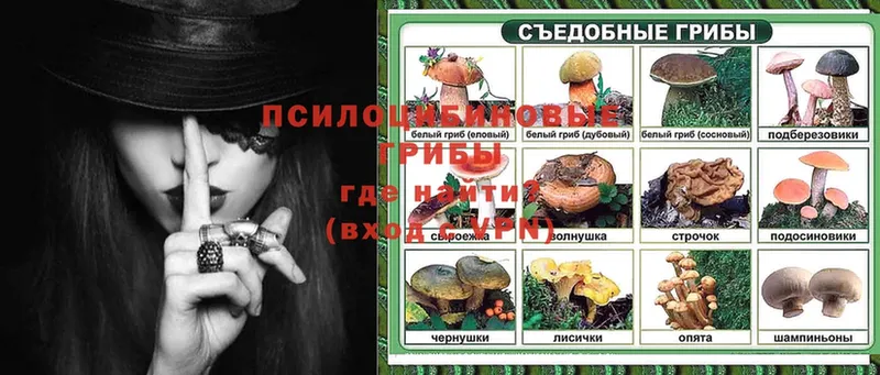 Галлюциногенные грибы MAGIC MUSHROOMS  Искитим 