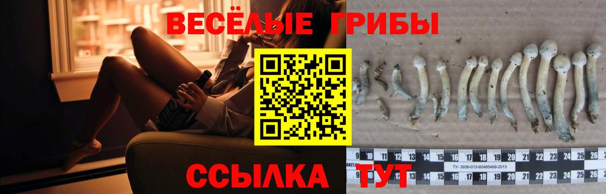 Искитим  LSD-25  Конопля  МДМА  Марихуана  Меф кристаллы  Альфа ПВП СК   ЭКСТАЗИ  Гашиш 